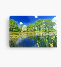 Derbyshire Landscapes Metal Print