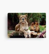 Endearment Canvas Print