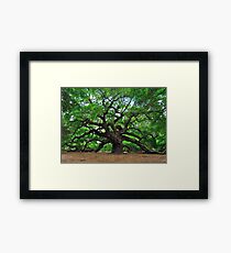 Angel Oak Framed Print