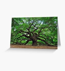 Angel Oak Greeting Card