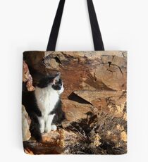 Angel On The Rock Tote Bag