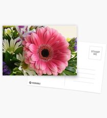 Gerbera Bouquet Postcards
