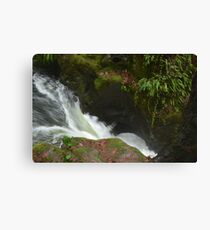 Danger Zone Canvas Print