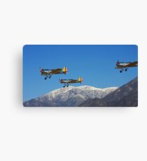 Wild Blue Yonder Canvas Print