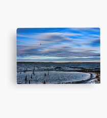 Freezing Canvas Print