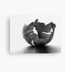 Onion Peel VRS2 Metal Print