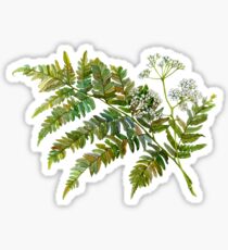 Aquarell Farn und Blumen Sticker