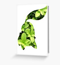 Chikorita used Razor Leaf Greeting Card