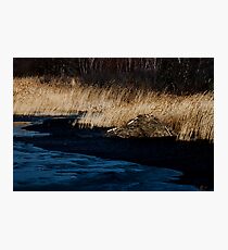 Ink on Paper Photographic Print