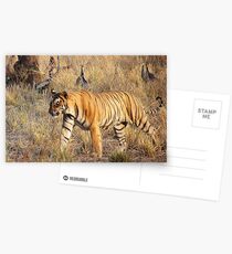 Grr!! Postcards