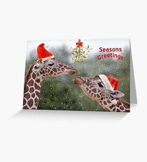 Mistletoe Moments Greeting Card