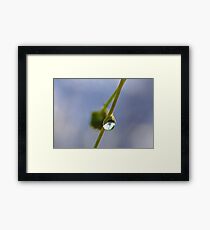 Small World Framed Print