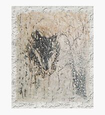 WOLF-- Call to the Wild Photographic Print