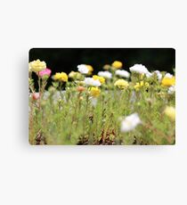 flowers Canvas Print