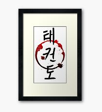 TaeKwonDo Framed Print