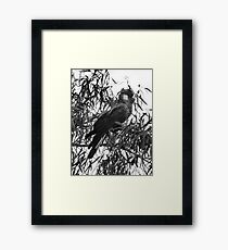 Carnaby Cockatoo Framed Print