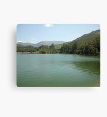 Nature Canvas Print