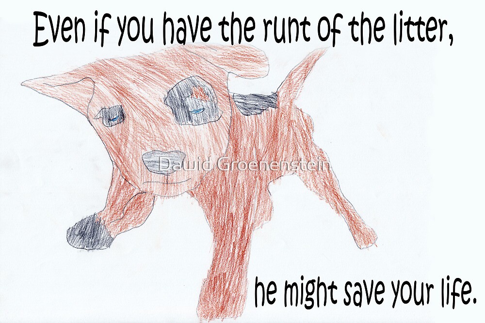 "The runt of the litter" by Dawid Groenenstein Redbubble