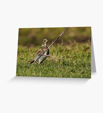 The Track and Fieldfare Greeting Card