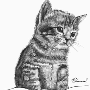 Artwork thumbnail, Wilbur The Kitten by MariaDrummond