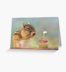 Make a Wish Greeting Card