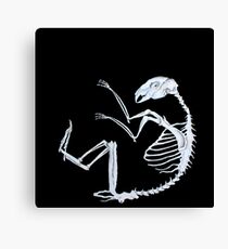 The Hare's Bones Canvas Print