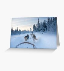 Husky Sledge, Lapland Greeting Card