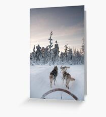 Husky Sledge, Lapland Greeting Card