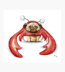 Lobster Pug Photographic Print
