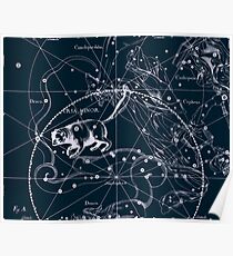 Ursa Minor Constellation Poster