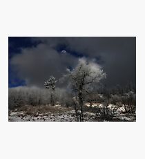 " Moon Glow " Photographic Print