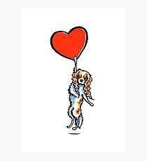 Blenheim Has My Heart Photographic Print