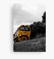 Tauranga Line Canvas Print