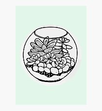 Fred the Succulent Photographic Print
