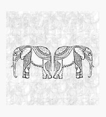 Indian Elephants Photographic Print