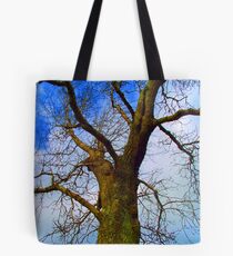 Skywards Tote Bag