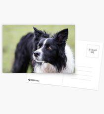Pointy Ears Postcards