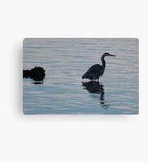 Knee Deep Canvas Print