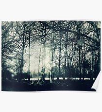 Faerie Wood Poster