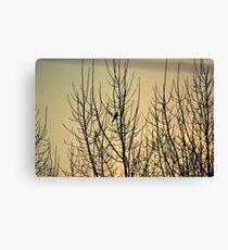 Hello, sweetie. Canvas Print