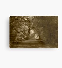 Country Lane Metal Print