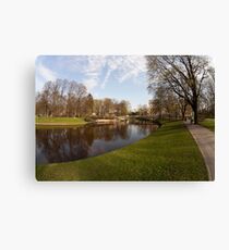 IN THE PARK Canvas Print