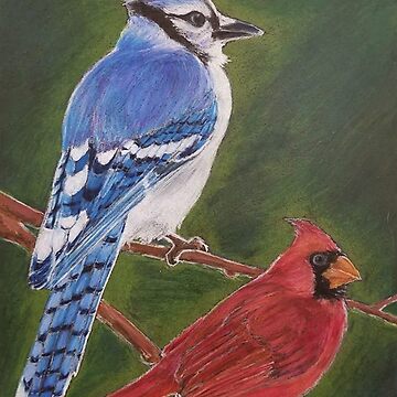 Blue Jay & Red Cardinal Metal Print for Sale by Sophie Corrigan