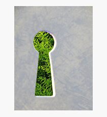 Through the Keyhole Photographic Print