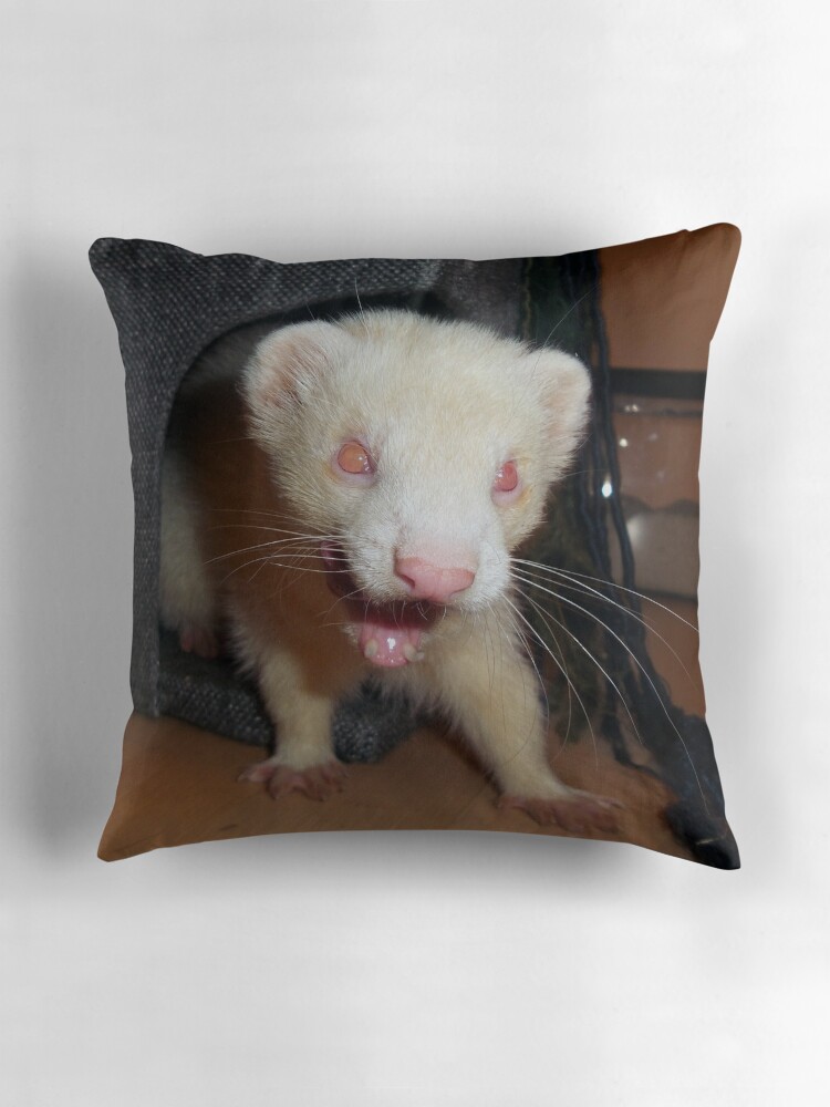 ferret body pillow