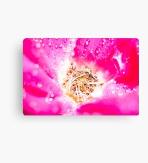 Untitled Canvas Print