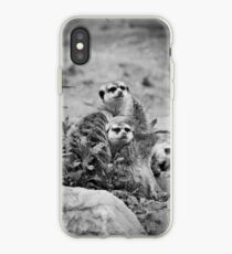 Meerkats iPhone Case