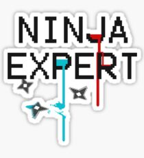 NINJA EXPERT Sticker