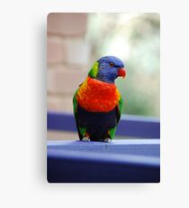 Rainbow Canvas Print
