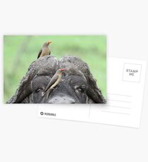 Friends !! Postcards